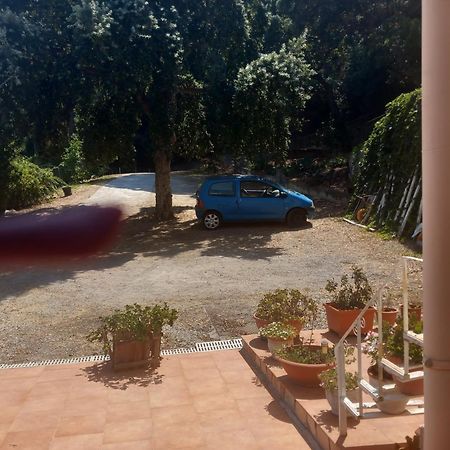 Alba Tra I Pini B&B 체팔루 외부 사진