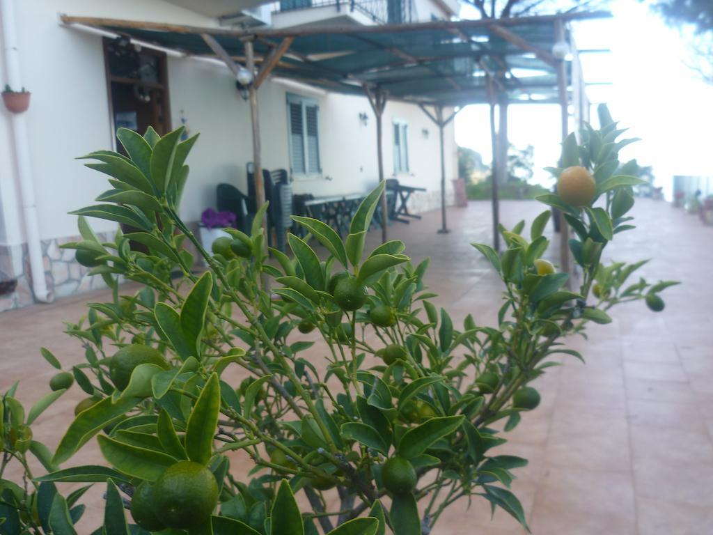 Alba Tra I Pini B&B 체팔루 외부 사진