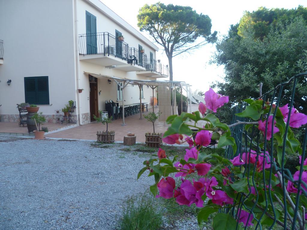 Alba Tra I Pini B&B 체팔루 외부 사진